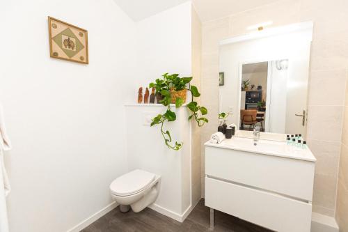 une salle de bain blanche avec des toilettes et un lavabo dans l'établissement Atlantic Selection - Ene Etchola - Proche du port de Capbreton, à Capbreton