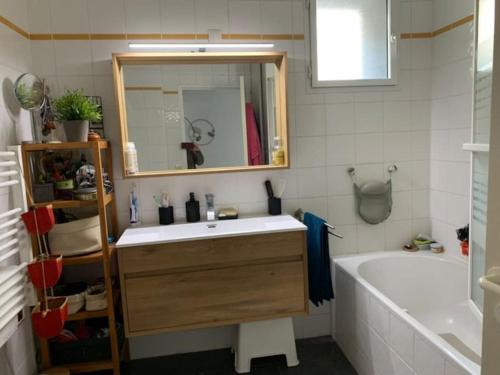 ein Badezimmer mit einem Waschbecken, einer Badewanne und einem Spiegel in der Unterkunft Appartement au bord de l'Hérault in Agde