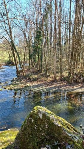 a rock in the middle of a river with trees at Maison au calme avec jardin et parking privé in Rouairoux