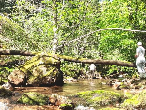two people walking across a log bridge over a stream at Maison au calme avec jardin et parking privé in Rouairoux