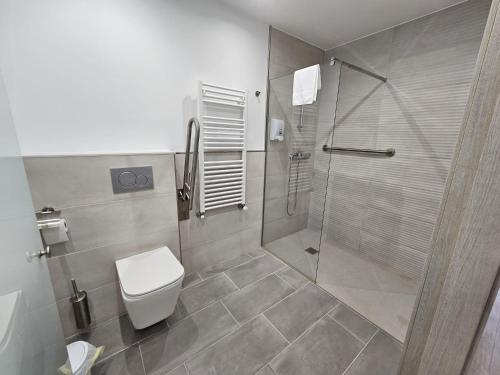 uma casa de banho com um WC e um chuveiro em Inicia AVIO Apartamentos em Santiago de Compostela