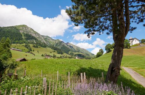 a tree and a fence in a field with mountains at Maison d'hôtes Ermitage in Chateau-d'Oex