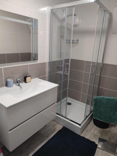 a bathroom with a sink and a shower at Appartement dans maison mitoyenne, avec vue sur les montagnes in Monnetier-Mornex