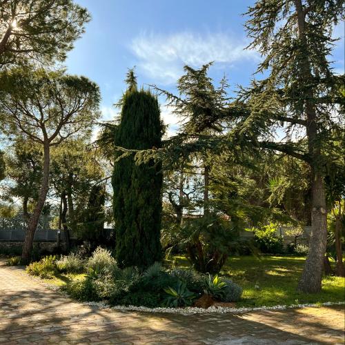 Zahrada ubytování Otto Apulia House B&B