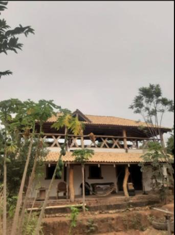uma casa com um telhado com palmeiras em frente em Pousada Peraputanga em Estivado