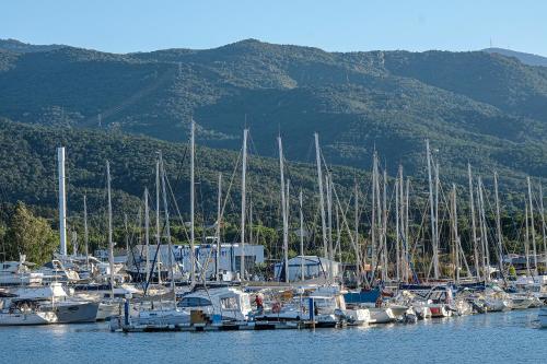 a bunch of boats docked in a harbor at Hotel Centre Plage in Argelès-sur-Mer