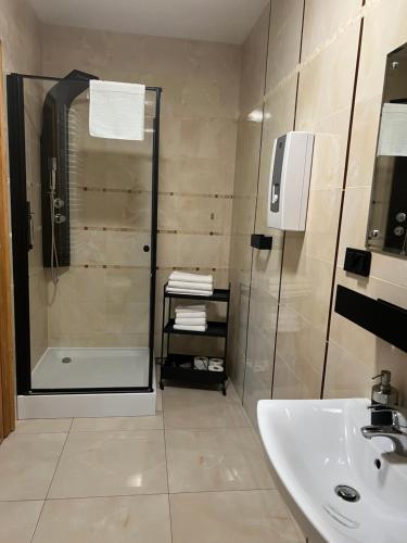 een badkamer met een douche en een wastafel bij Villa Stara Apteka in Srebrna Góra