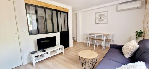 ein Wohnzimmer mit einem Sofa und einem TV in der Unterkunft BNB RENTING Chez Dominique - 2-4 pers Center Antibes Migrainier1 in Antibes