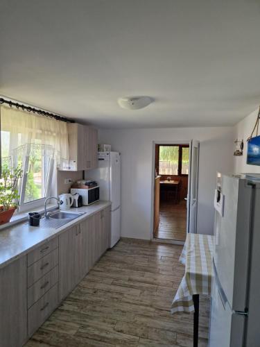 a kitchen with a white refrigerator and a table at Casa Ivana in Murighiol