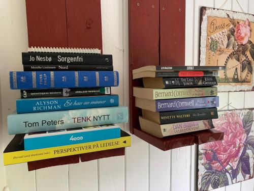 una pila di libri su un muro di Riverside Bliss Idyllic Camp, 3 Man Tent Incl, near Tvedestrand and Arendal a Vegårshei