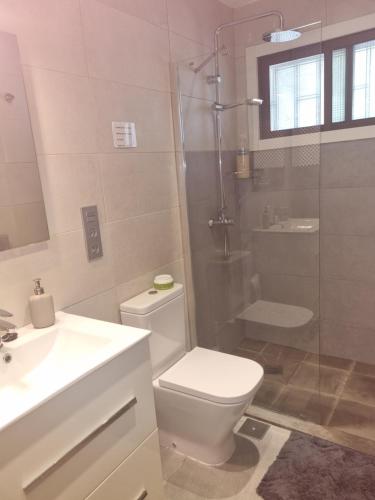 a bathroom with a toilet and a shower and a sink at Lazydays in Puerto del Carmen