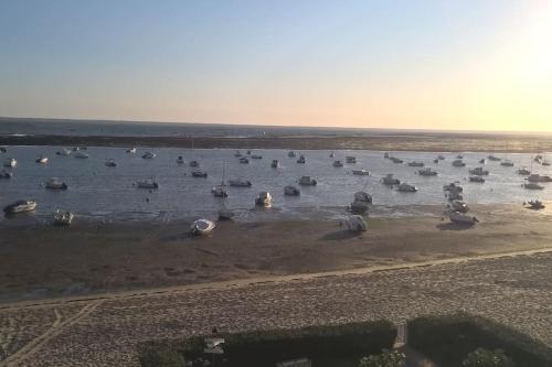Appartement T2 vue mer au port d'Arcachon