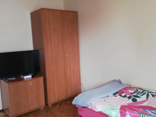 a bedroom with a bed and a tv and a cabinet at U Kiki in Wisełka