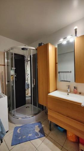 une salle de bain avec une douche, un lavabo et un miroir dans l'établissement Studio calme et lumineux, parking disponible, 100m de Nation, à Paris