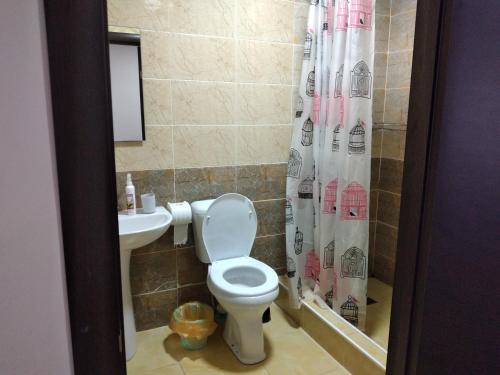 a bathroom with a toilet and a sink at Guest House Issyk-Kul Nomad in Bosteri