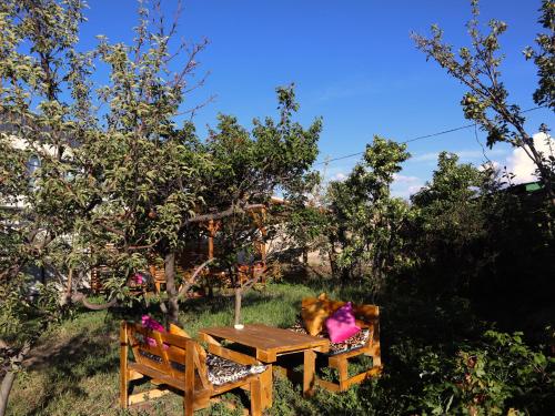 Κήπος έξω από το ESENIN 1 Hostel & Bar