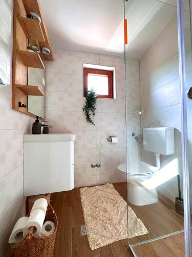 a bathroom with a glass shower and a toilet at La Isla in Tkon
