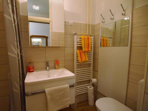 bagno con lavandino, servizi igienici e specchio di In the Center of Rogaška Slatina! Apartment Fani and Studio Marija a Rogaška Slatina
