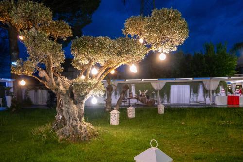 un árbol con luces en un patio por la noche en Hotel Imperiale, en Terzigno
