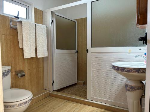 a bathroom with a sink and a toilet and a shower at Paradise Hill in Grand Baie