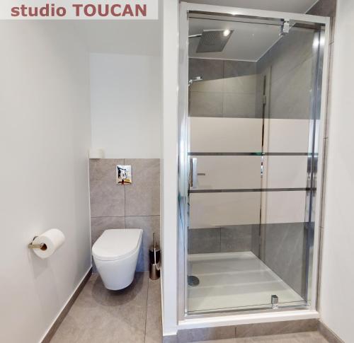 a bathroom with a shower and a toilet at Résidence 12 Rue de la Mesange - City Center in Strasbourg