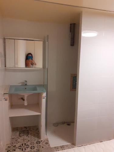 uma casa de banho com um lavatório e um chuveiro em La Re'Belle em Céret