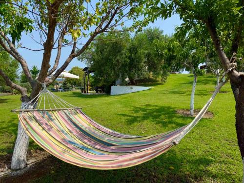 a hammock hanging from two trees in a park at Nikitihouse Apartments 1 in Nikiti