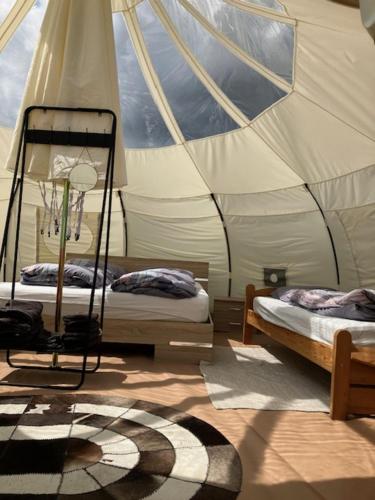 Una habitación con 2 camas en una tienda en Natuur-like Glamping in Bosland en Neerpelt