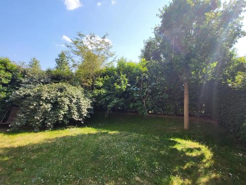 a yard with green grass and trees and sunshine at Superbe T3 Chessy Disney/Paris - Jacuzzi, Jardin, Barbecue, Parking in Chessy
