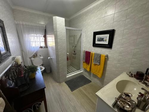 ein Bad mit einer Dusche, einem Waschbecken und einem WC in der Unterkunft A State of Grace in Clanwilliam