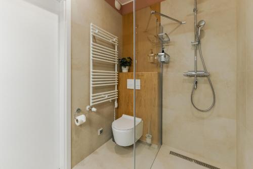 a bathroom with a toilet and a glass shower at Apartament BIRDS SurfingBird Dźwirzyno in Dźwirzyno