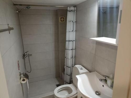 a small bathroom with a toilet and a sink at Kilkis Central Studio I in Kilkis