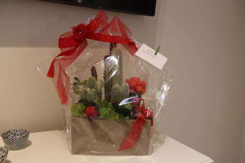 a plastic bag with a cactus and flowers in it at Aurora BnB in Pisa