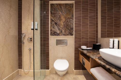 齋浦爾的住宿－雷迪森帕克旅館，浴室配有卫生间、盥洗盆和淋浴。