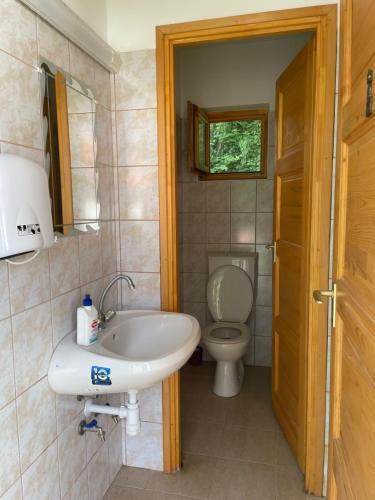La salle de bains est pourvue d'un lavabo et de toilettes. dans l'établissement Nomád jurta Zalakaros mellett, à Zalamerenye