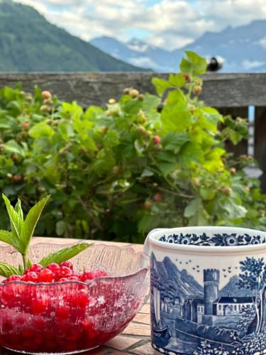 a bowl of fruit and a bowl of berries on a table at Chalet Rayon de Soleil in Gryon