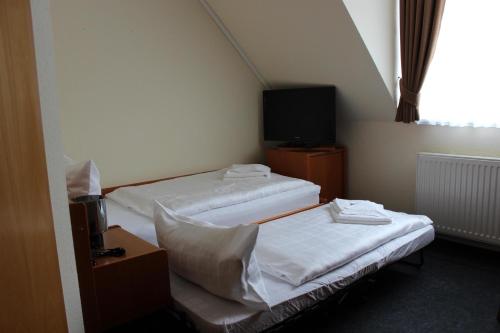 two beds in a small room with a tv at Hotel Sächsisches Haus in Berggiesshübel