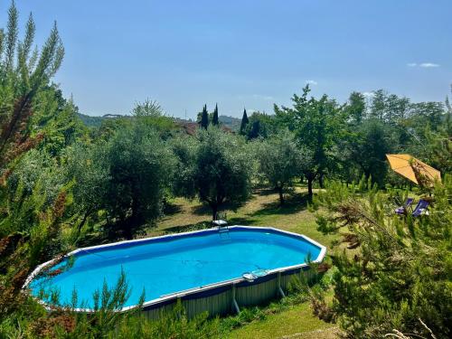 an empty swimming pool in a field with trees at Podere il Casone in Serravalle Pistoiese