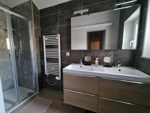 La salle de bains est pourvue d'un lavabo et d'une douche. dans l'établissement MAISON AMPERE, à Limoges