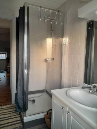 La salle de bains est pourvue d'une douche, d'un lavabo et d'une baignoire. dans l'établissement Charmant logement avec parking gratuit sur place, à Éclaron