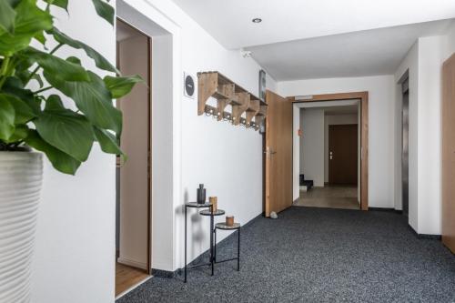a hallway with white walls and a plant at La Tgoma - Hotel & Restaurant in Lenz