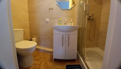 a bathroom with a toilet and a sink and a shower at Pokoje Vega in Bolszewo