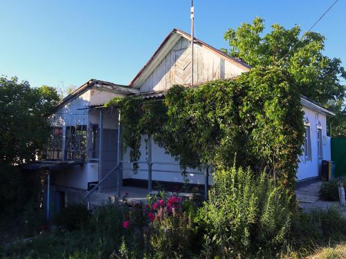 Κήπος έξω από το ESENIN 1 Hostel & Bar
