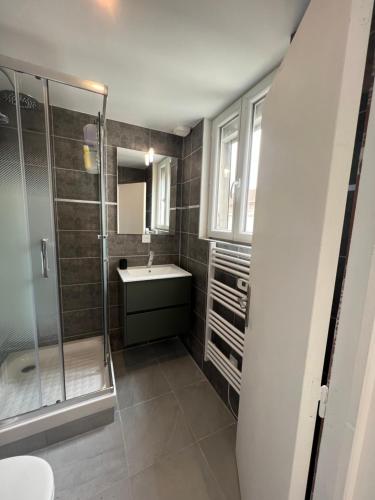 a bathroom with a shower and a sink at Joli studio in Le Pré-Saint-Gervais