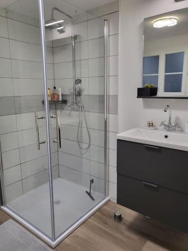 une salle de bain avec une douche en verre et un lavabo dans l'établissement Agréable studio avec cour à 10mn de Fontainebleau, à Héricy