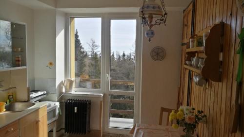kuchnia z dużym oknem i umywalką w obiekcie BEST MOUNTAIN VIEIW APARTMENT w Szczyrbskim Plesie
