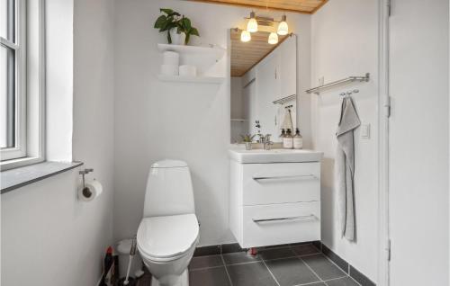 La salle de bains est pourvue de toilettes et d'un lavabo. dans l'établissement Gorgeous Home In Middelfart With Wifi, à Middelfart