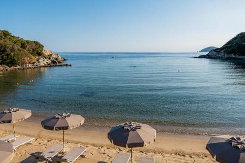 a beach with chairs and umbrellas and the ocean at Elbamar Procchio in Procchio