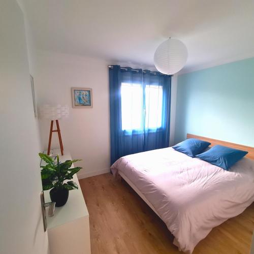 um quarto com uma cama com almofadas azuis e uma janela em Villa standing 10 personnes piscine/ pinède em Canet-en-Roussillon