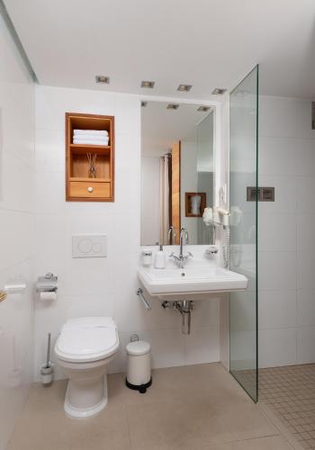 a bathroom with a toilet and a sink and a shower at Heritage house Dvor in Sutivan